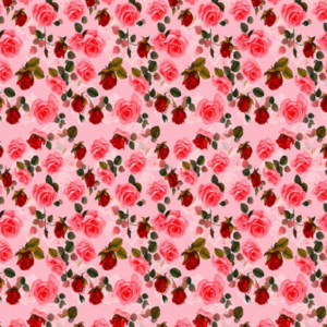Rose Bloom Arabic lilan