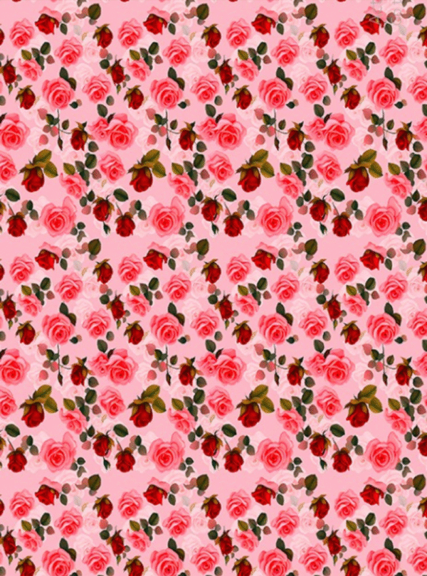Rose Bloom Arabic lilan